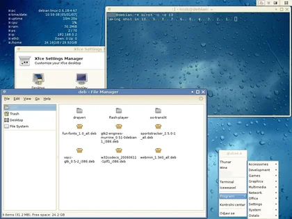 Gallery thumbnail: Sshot 20070531 Xfce Debian