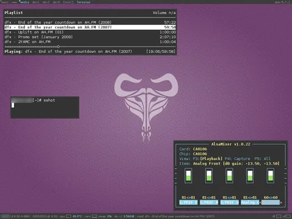 Gallery thumbnail: Sshot 20100502 Dwm Debian