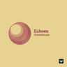 Cover art for Echoes by Pohokolius