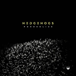 Cover art for Hedgehogs by Pohokolius
